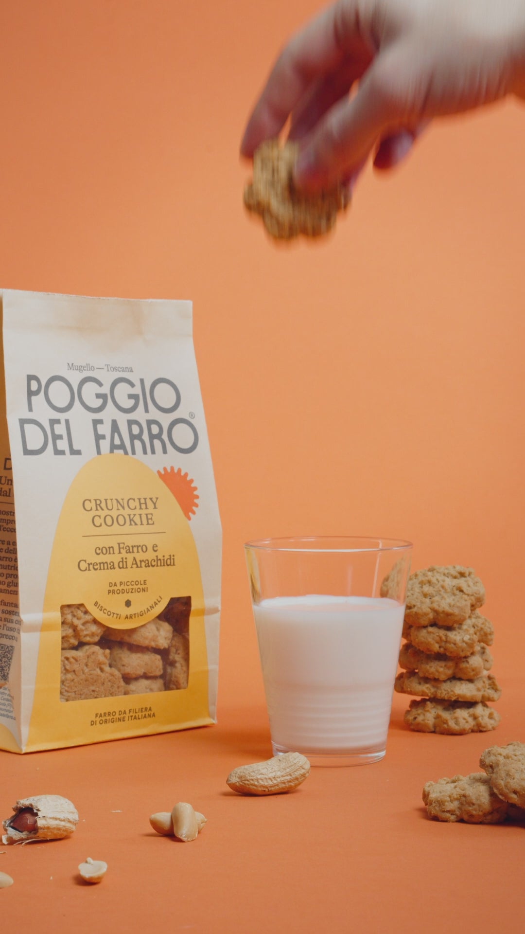 Biscotto crunchy al farro Poggio del Farro immerso nel latte, momento di colazione